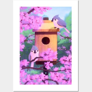 Tufted Titmouse House With Redbuds Posters and Art